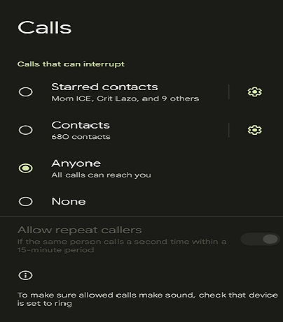 A cellphone setup screen showing various "calls that can interrupt" settings; the button marked "anyone" has been selected.
