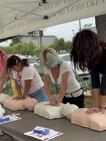Camp ReadyLA participants perform CPR on dummies 