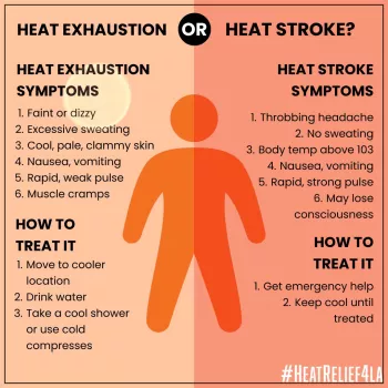 A human figure drawing with details about heat exhaustion and heat strokes symptom and how to treat them.